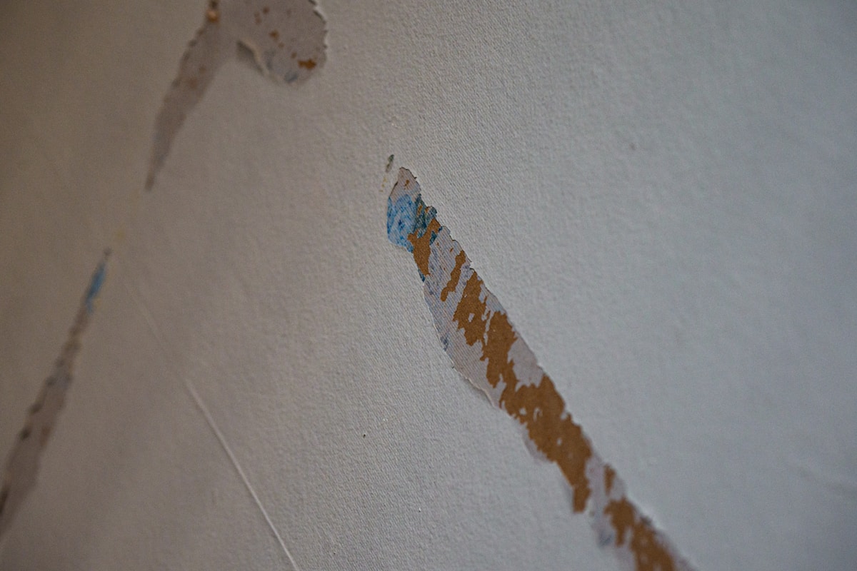 Basement Water Removal service in Brooklyn, NY